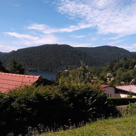 Appart terrasse Vue Lac Gérardmer Extérieur photo