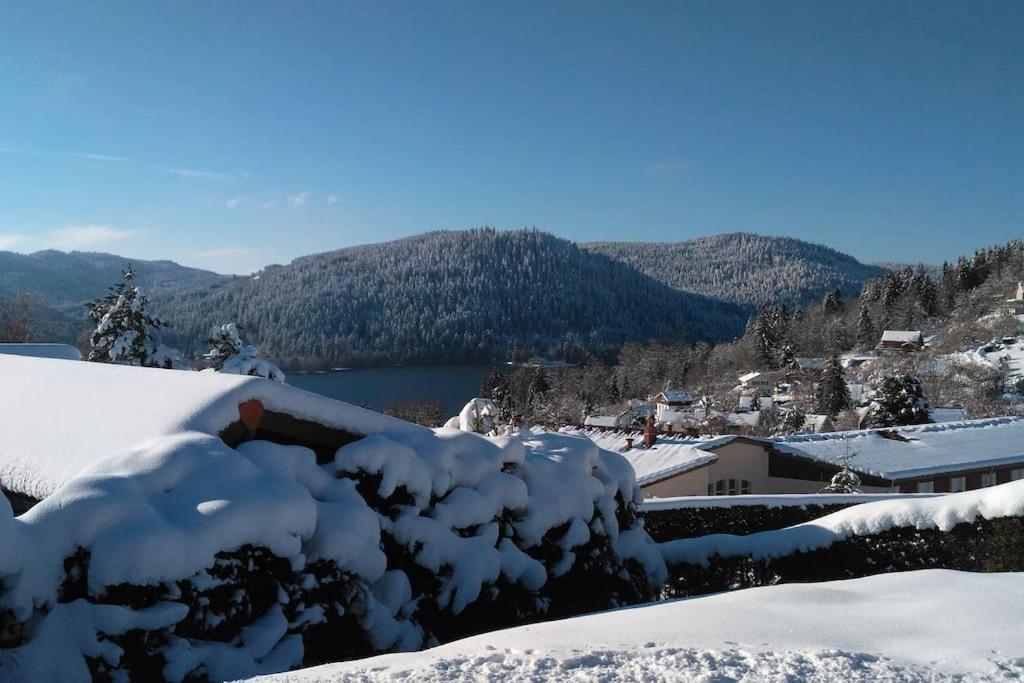 Appart terrasse Vue Lac Gérardmer Extérieur photo